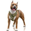BARKBAY No Pull Dog Harness Large Reflective Dog Harness with