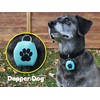 Dapper Dog - Dog Tag Silencer with Tag Ring (Teal