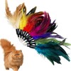 CATENEED Cat Feather Toys Refill Cat Wand Replacement Feathers, 16