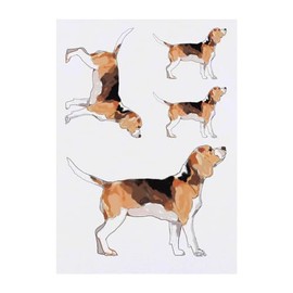 4 x 'Beagle Dog' Temporary Tattoos - Water Resistant, Skin-Safe, Non-Toxic Transfers, Mixed Sizes (TO00068694)