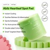 Abib Heartleaf Spot Pad Calming Touch Duo Set 160pads 10.14