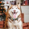 Fidohug Reflective Martingale Collar with Buckle Shark Starfish Ethnic Stripe