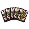Takara Tomy Duel Masters DX Card Sleeve King Dao Holy