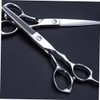Ipetboom 1 Set Professional Hair Scissors Stainless Steel Hair Cutting