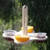 Daiilg Oriole Bird Feeders for Outdoors, Jelly and Oranges Bird