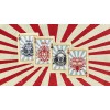 Murphy's Magic Bicycle Circus Nostalgic Playing Cards