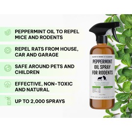 Kate Naturals Peppermint Oil Spray for Rodent Repellent, Mouse (16oz, Pet Safe). Rodents Repellent Outdoor for Car Engines, Mice, Rat, Bat, House, Plants, Attic, Basement