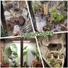 GroCruiser 2000W Dimmable LED Grow Light, 3x3 2x4ft Grow Tent