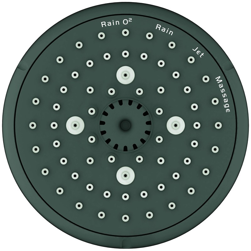 Grohe 26044001 Tempesta Classic 100 1.75 GPM 4-Spray Shower Head,