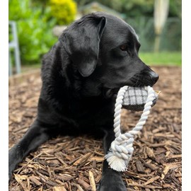 PetLove Wonky Woolies Tuggerz Donkey, Durable Plush and Rope Dog & Puppy Toy with squeaker, 100% recycled materials