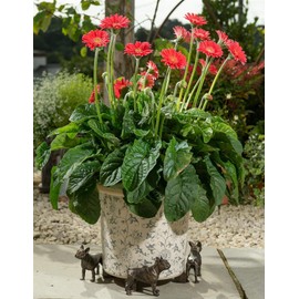 Potty Feet French Bulldog Figures Plant Pot Feet Planter Riser - Pot Support Feet - Handmade Yard Art Ornaments - 3pcs