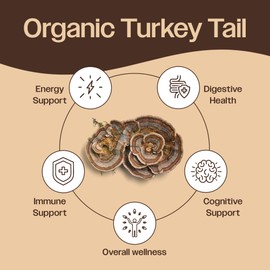 Turkey Tail Mushroom Powder - Organic Mushroom Powder For Immune Support Digestive Health & Immune Response Support Supplement - Hot Water Extracted, 45% Beta-Glucans - 3.05 oz (100 Servings)