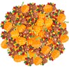 FOIMAS Thankgiving Resin Flatback Charms,50pcs Pumpkin Turkey Slime Embellishment Resin