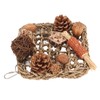 Bird Climbing Net Rattan Ball Pine Cone Corn Cob Nuts