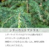 100% Natural Cedarwood Atlas Oil 10ml Essential Oil Essential Oil