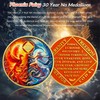 Phoenix Fairy 30 Year Na Medallions - Sun and Moon