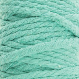 White Lion Macrame Cord – 80% Cotton & 20% Polyester – 2mm, 100 Foot Spool, Aqua Color – Rope for Handmade Crafts, Wall Hanging, Planters, Crafts, Knitting and Boho Arts