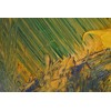 YIHUALE Acrylic Paint Brush, Multi-purpose, Face Brush, Nylon Paint Brush,