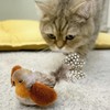 AGGER Cat Casting Fishing Pole Toy, Cat Casting Toy Set,