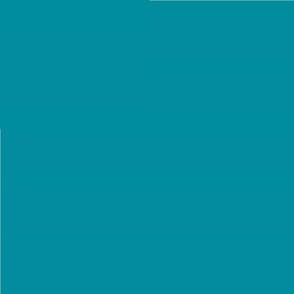 Pack of 4 LEE No. 116 Medium Blue Green - 24 x 24 cm Transparent Heat Resistant Coloured Film for Photo Studio PAR 64 Headlight - Colour Filter Film (Pack of 4, Lee 116 Medium Blue Green)