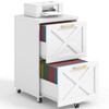 Halitaa 2 Drawer Small File Cabinet with Wheels, Farmhouse Vertical