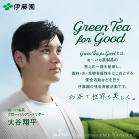 Itoen Oi Ocha Premium Tea Bag, Green Tea with Matcha, 0.06 oz (1.8 g) x 100 Bags