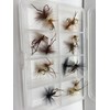BestCity Fly Fishing Flies HOPPERS 16 Fly Selection + FREE