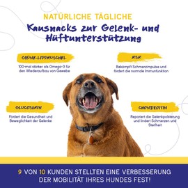 PupGrade Joint Support: Nahrungsergänzungsmittel für Hunde – Lindert Hüft- und Gelenkschmerzen – Für Hunde Aller Größen, Rassen und Altersgruppen – 30 Kausnacks