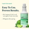 Nature's Sunshine Liquid Chlorophyll - Immunity Support, Detox & Cleanse,
