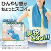 ライズジャパン 冷感タオル 3枚セット スポーツタオル 85×28cm 濡らして使う 汗拭き 無地 ひんやり HOUタオル3枚