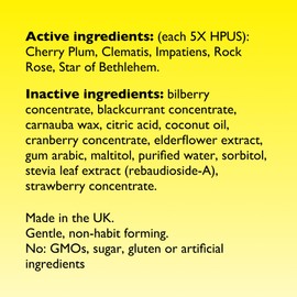 Bach RESCUE PASTILLES, Mixed Berry Flavor, Lozenges, Homeopathic, Flower Essences, 4 Pack