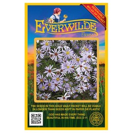 Everwilde Farms - 300 Turbinate Aster Native Wildflower Seeds - Gold Vault Jumbo Seed Packet