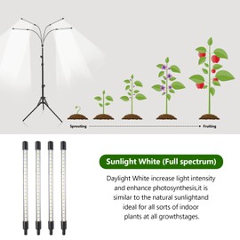 Grow Light with Stand, for Indoor Plants with White and Warm White Spectrum, 10 Dimmable Brightness, 3/9/12H Timer, 3 Switch Modes, Adjustable Gooseneck, Suitable for Various Plants Growth (4 Heads)
