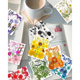 OECOO 285PCS Small Dried Pressed Butterfly Sticker Flower for Resin,Real Nature Pressing Floral Leaves for DIY Craft, Mold, Jewelry Making, Candle Scrapbooking Supplies