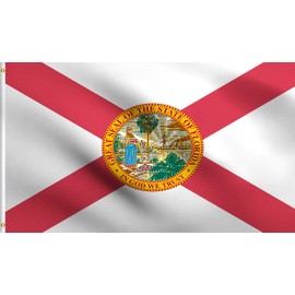 DMSE Florida State Flag 3X5 Ft Foot 100% Polyester 100D Flag UV Resistant (3' X 5' Ft Foot)