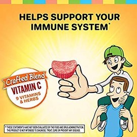 Airborne 500mg Vitamin C + Zinc Immune Support Supplement Gummies for Kids, Assorted Fruit Flavor, Gluten Free Crafted Blend with Powerful Antioxidant
