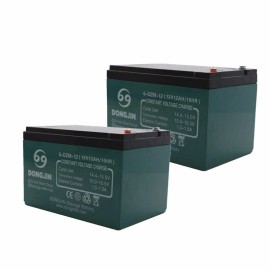 Unbranded 2Pack 6-DZM-12 12V 12Ah Battery for Lawn Mower E Bike Go Cart Scooter ATV Quad