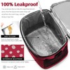 BEIMILY Lunch Box for Men/Women,Small Insulated Lunch Bag,Reusable LunchBox for