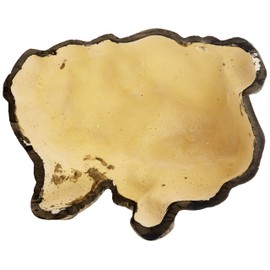 Exo Terra Reptile Cave Large, brown