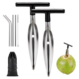 2 Pack Coconut Opener Tool Set with 4 Reusable Straws & Brush, Food Grade Stainless Steel Coco Nut Bottle Opener for Young Thai Green Fresh Coconut Water, Safe and Convenient Coco Drill Punch Tool