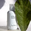 Ere Perez Ginkgo Micellar Cleanser, 37g