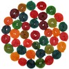 FirstChoiceCandy Licorice Wheels Gummy Candy (Two Faced Rainbow, 2 Pound)
