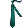 DiBanGu Mens Emerald Green Plaid Tie and Lapel Pin for