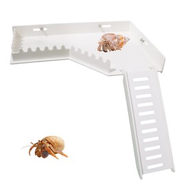 BingegePet No-Drill Climbing Platform with Ramp, Hermit Crab Climbing Wall & Hideout, Multi-Level Platform with Ladder, No-Tools Mounting for Geckos, Small Lizards, Hamsters