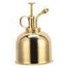 Professional Stainless Steel Watering Can with Top Pump for Succulent