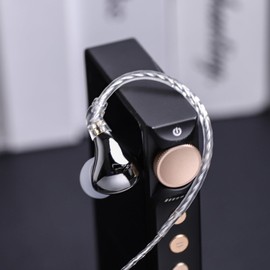 LINSOUL BLON BL03 II In-Ear Monitor, 10mm Dynamic Dual Chamber Driver IEM, Wired HiFi Earbuds with Detachable 2-Pin Cable for Musicians Audiophiles (Type-C with Micro, Silver)