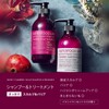 95% Natural Ingredients Superfood Lab [Ultraviolet Ray] P Barrier [Refresh]