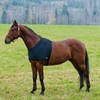 Shoulder Vest for rain rugs, rug for horses, black, Choice:xl