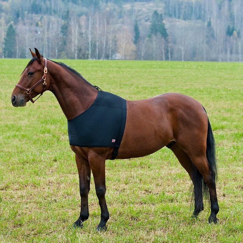 Shoulder Vest for rain rugs, rug for horses, black, Choice:xl