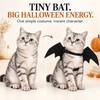 Black Bat Wings Pet Costume for Cats & Dogs –